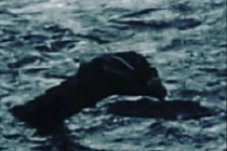 Lời giải cực sốc về sự tồn tại của quái vật hồ Loch Ness 