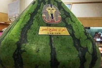 Siêu phẩm dưa hấu hình kim tự tháp giá bằng cả 7 chỉ vàng 