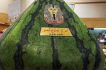 Siêu phẩm dưa hấu hình kim tự tháp giá bằng cả 7 chỉ vàng 