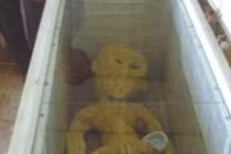 Cận cảnh xác người ngoài hành tinh gây rúng động TQ