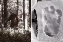 Rùng mình những câu chuyện kỳ bí xảy ra trên dãy Himalaya