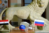 Mèo điếc Achilles lại trổ tài tiên tri Nga thắng Ai Cập