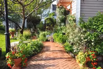 Vườn tràn đầy sắc màu tươi tắn của các loài hoa của cô giáo tiếng Anh