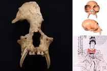 Bí mật bất ngờ trong lăng mộ của bà nội Tần Thủy Hoàng