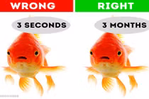 Những quan niệm sai lầm khiến nhiều người tin sái cổ 