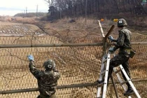 Park Mee-ja: Có thú vị ít người biết về khu phi quân sự (DMZ)