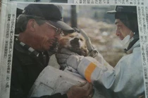 Những bức ảnh nổi tiếng khiến nhiều người nhói tim rơi lệ 