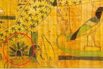 Giật mình bằng chứng UFO từng hạ cánh trên tượng Nhân sư