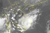 Học sinh TP HCM sẽ nghỉ học nếu áp thấp nhiệt đới diễn biến phức tạp