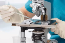 Vi khuẩn “sát thủ” từ Việt Nam lấy mạng người trong 24 giờ