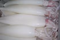 Rùng mình mực tươi trắng nõn nhờ hoá chất