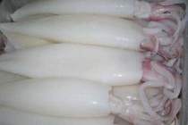 Rùng mình mực tươi trắng nõn nhờ hoá chất