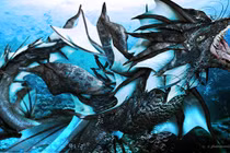 Những con rồng huyền thoại trong truyền thuyết cổ xưa