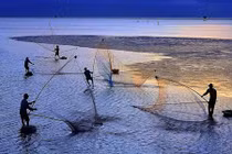 Những bức ảnh VN đoạt giải cao trong cuộc thi quốc tế 2015