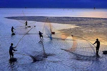 Những bức ảnh VN đoạt giải cao trong cuộc thi quốc tế 2015