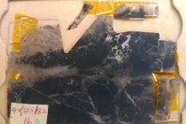 Sửng sốt bằng chứng lâu đời nhất về sự sống trên Trái Đất