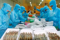 Xuất khẩu sản phẩm nông nghiệp hướng tới mục tiêu 40 tỷ USD