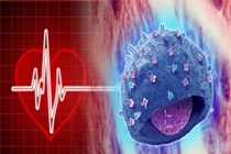 Chuyện có thật: Phép màu kỳ diệu ghép tim ghép cả linh hồn 