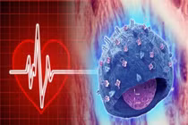 Chuyện có thật: Phép màu kỳ diệu ghép tim ghép cả linh hồn 