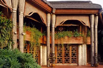 Ngắm tuyệt tác cung điện Dừa độc nhất vô nhị ở Philippines