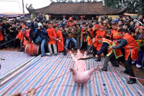 Dân Ném Thượng lên tiếng về lễ hội chém lợn