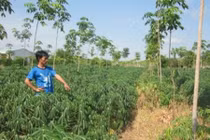 Gã sát nhân hung ác: Nghiệp chướng bị "trời đày"?