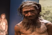 Ít ai ngờ người Neanderthal cổ đại dùng lửa theo cách này