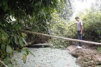 Chuyện kỳ bí ma mị về "hang nuốt người" ở Lào Cai