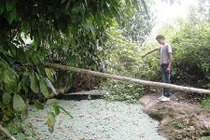 Chuyện kỳ bí ma mị về "hang nuốt người" ở Lào Cai