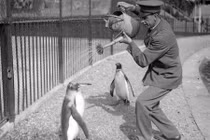 Ảnh lịch sử đặc biệt về cuộc sống của người xưa