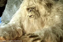 Bí ẩn sinh vật huyền bí Yeti đã được giải mã?