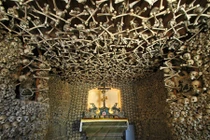 Lạnh gáy những hình ảnh rợn người về sự chết chóc 