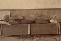 Rùng mình bằng chứng khó cãi về hiện tượng "người hóa đá" 