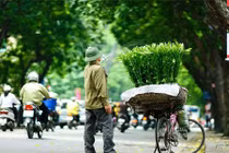 Chùm ảnh nghề mưu sinh mang hoa về phố