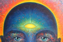 Sự thật giật mình con mắt thứ ba huyền bí của loài người 