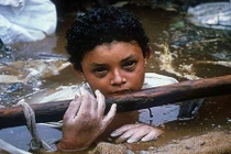 Hãi hùng câu chuyện sau những bức ảnh lịch sử nổi tiếng