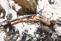 Bí ẩn vây quanh xác ướp người băng nổi tiếng lịch sử