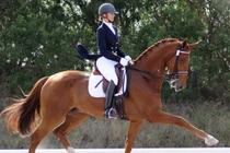 Đại gia đốt bao nhiêu tiền cho sở thích sang chảnh?