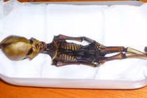 Giải mã bộ xương người ngoài hành tinh khiến TG sửng sốt 