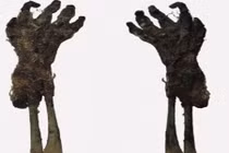 Giải mã bí ẩn về xác ướp em bé chỉ có 1 cánh tay