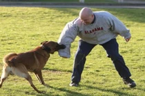 Đây mới là nguyên nhân khiến con người dễ mất mạng nhất