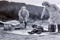 Rùng mình các thí nghiệm trên cơ thể người của Đơn vị 731 