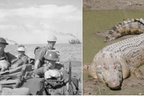 Bí mật kinh thiên của những hòn đảo nổi tiếng thế giới 