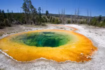 Khó tin những địa điểm kỳ lạ này đang tồn tại trên thế giới