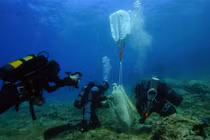 Phát hiện 8 tàu đắm ở Hy Lạp cùng nhiều cổ vật