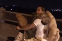 Video: Hãi hùng màn chở chó, mèo bấu víu của thanh niên đầu trần