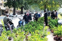 Dự báo thời tiết 23/1: Hà Nội nắng chan hòa, Sài Gòn lo ngập lụt