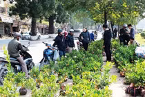 Dự báo thời tiết 23/1: Hà Nội nắng chan hòa, Sài Gòn lo ngập lụt