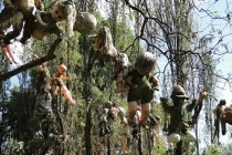 Lạnh người “búp bê ma” treo cây 