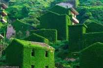 Tận mục những địa điểm bị lãng quên đẹp đến ma mị